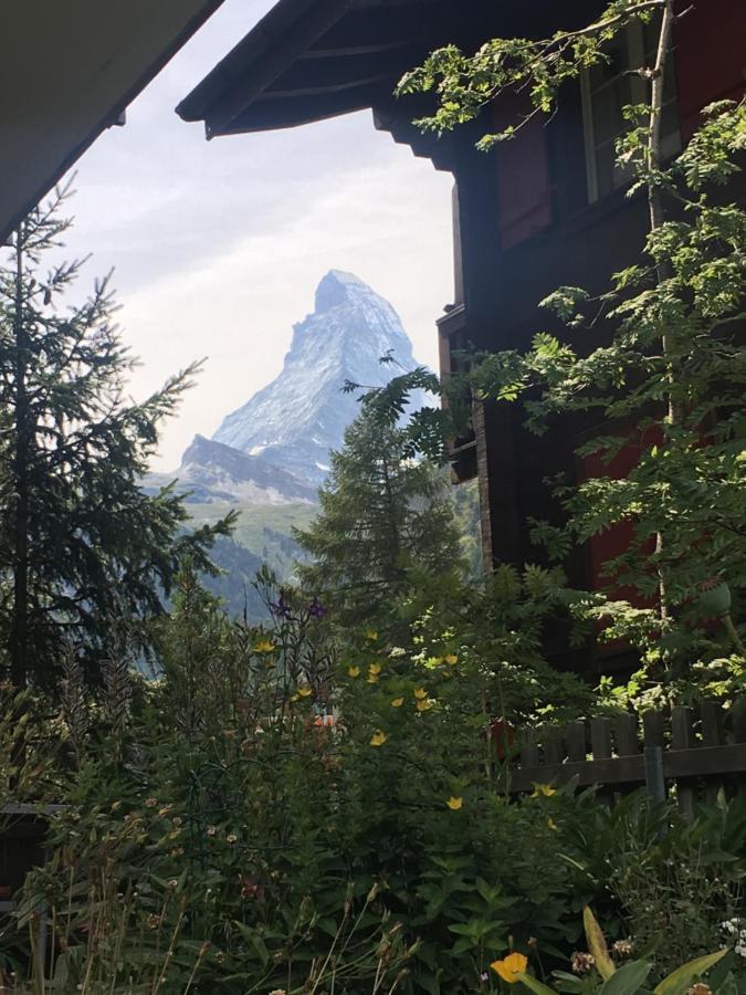 Mountain Apartments Zermatt Nr 6 Ngoại thất bức ảnh